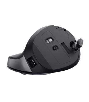 Trust TM-270 mouse Office Right-hand RF Wireless Optical 2400 DPI
