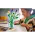 LEGO BOTANICALS 11508 Daisies