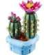 LEGO BOTANICALS 11509 Flowering Cactus