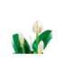LEGO BOTANICALS 11504 Peace Lily