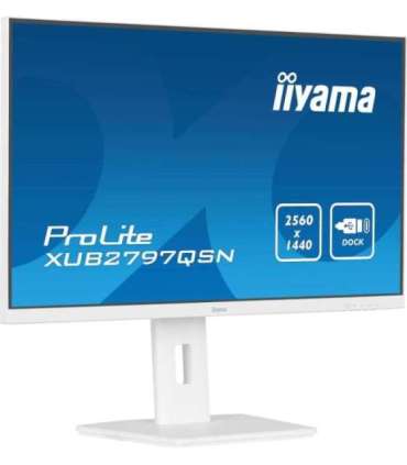 27’’ QHD IPS technology panel with USB-C dock and RJ45 (LAN)