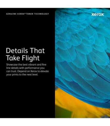 Black high capacity toner cartridge 3000 pages C230/C235