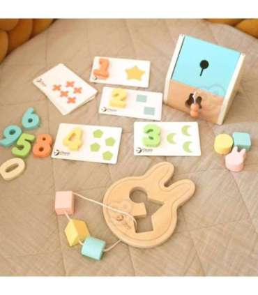 CLASSIC WORLD pastelsed mänguasjad beebidele - karp 'Esimesed õppemänguasjad' 12-18-kuustele