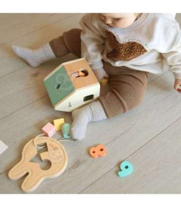 CLASSIC WORLD pastelsed mänguasjad beebidele - karp 'Esimesed õppemänguasjad' 12-18-kuustele