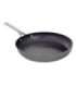BALLARINI Salina Granitium 75002-824-0 Frying pan 32 cm