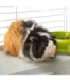 FERPLAST Casita 80 - cage for guinea pig and rabbit