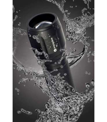 LED flashlight  everActive FL-300+