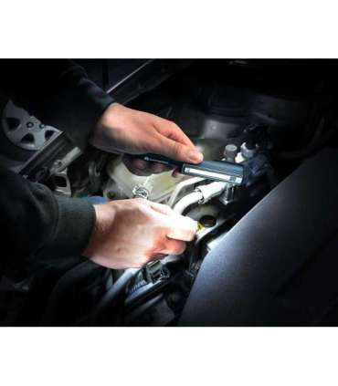 Flashlight everActive WL-200 3W COB LED