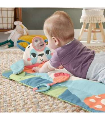 Fisher-Price Planet Friends Roly-Poly Panda Baby Activity Play Mat with 2 Toys