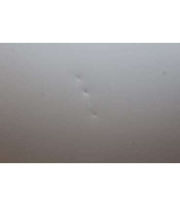 SALE OUT. Gorenje Freezer FH10EAW Energy efficiency class E Chest Free standing Height 85.4 cm Total net