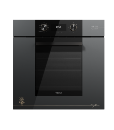 Built in oven Teka Van Gogh