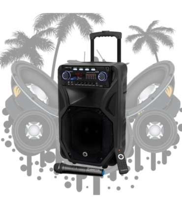 Muusikakeskus Manta SPK5021PRO