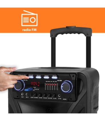 Muusikakeskus Manta SPK5021PRO