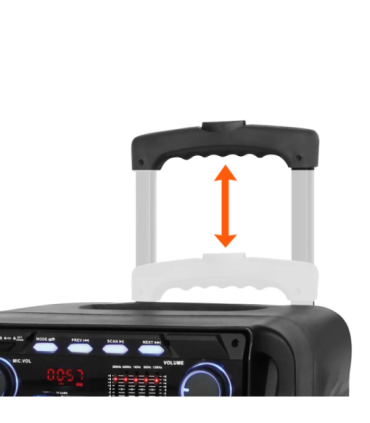 Muusikakeskus Manta SPK5021PRO