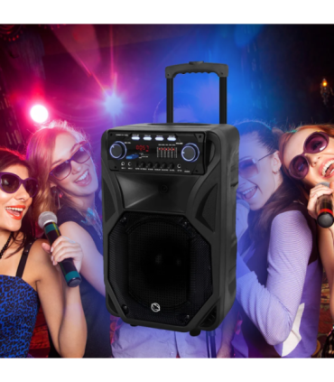 Muusikakeskus Manta SPK5021PRO