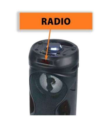 Bluetooth kõlar Manta SPK815