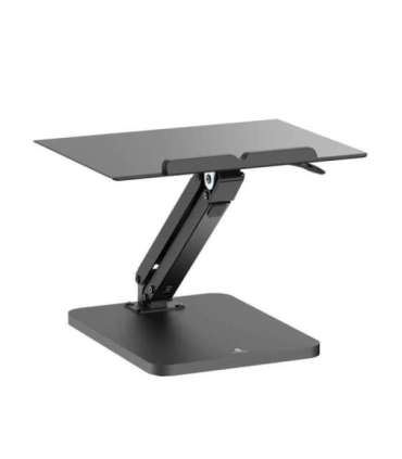 Maclean desk stand for monitor or laptop, gas spring, for standing and sitting work, black, MC-493