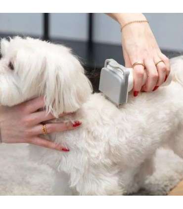 MPM MOD-1000 HOME CARE DEVICE FOR DOGS AND CATS
