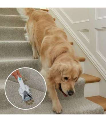 Shark PX200EUT carpet cleaning machine Handheld Deep/interim White