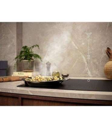 ELECTROLUX CFG526R range hood