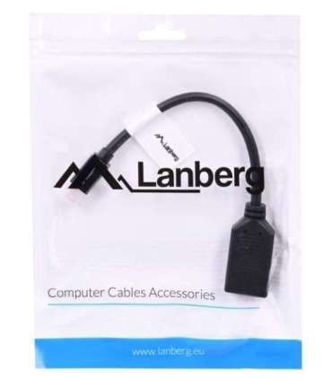 Lanberg AD-0003-BK DisplayPort cable 0.12 m Mini DisplayPort Black