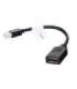 Lanberg AD-0003-BK DisplayPort cable 0.12 m Mini DisplayPort Black