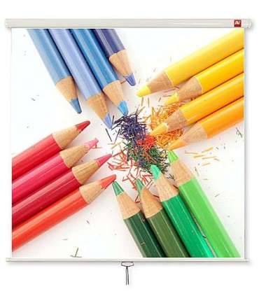 Avtek Wall Standard 200 projection screen 1:1