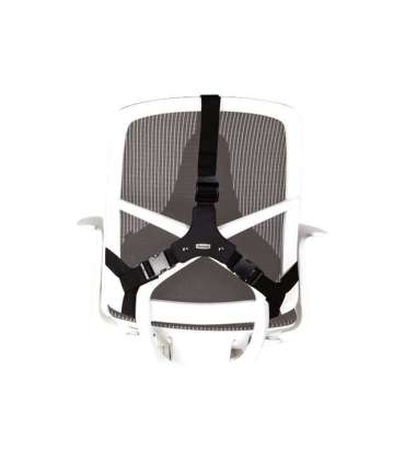 Fellowes Professional back support - Professional Series Depth 55 mm Height 365 mm High-density foam Width 375