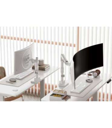 DIGITUS Single Monitor Mount, 57", 27 kg Digitus