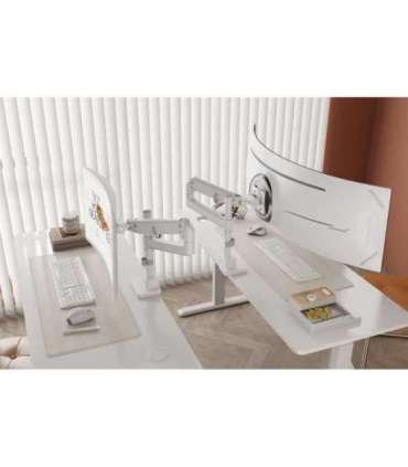 DIGITUS Single Monitor Mount, 57", 27 kg Digitus