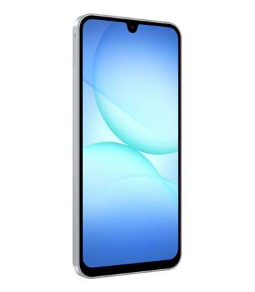 Samsung Galaxy A17 5G 17 cm (6.7") Hybrid Dual SIM USB Type-C 8 GB 256 GB 5000 mAh Grey