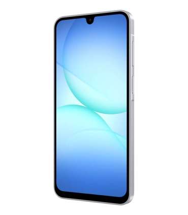 Samsung Galaxy A17 5G 17 cm (6.7") Hybrid Dual SIM USB Type-C 8 GB 256 GB 5000 mAh Grey