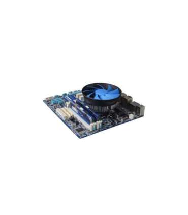 DeepCool Gamma Archer Processor Air cooler 12 cm Aluminium, Black, Blue 1 pc(s)