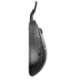 MOUSE USB OPTICAL X2/MEDIUM BLACK PX2221D PULSAR