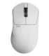 MOUSE USB OPTICAL WRL X3/SIZE1 WHITE PX3R12 PULSAR