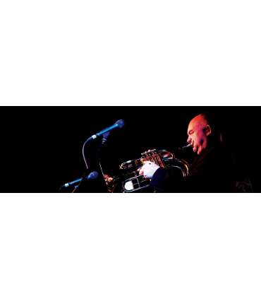 RØDE M1 microphone Black Stage/performance microphone