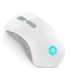 Lenovo Legion M600 Wireless Gaming mouse Ambidextrous RF Wireless + Bluetooth + USB Type-A Optical 16000 DPI
