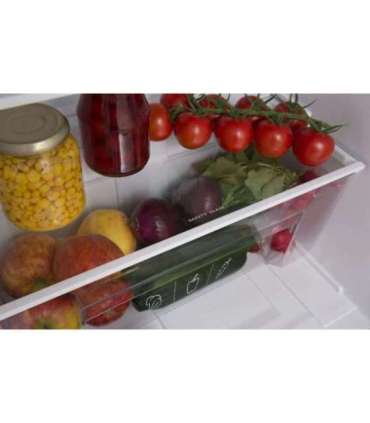 AMICA FD2015.4X(E) Silver Refrigerator with Freezer