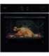 Oven AEG TR7PB731SB