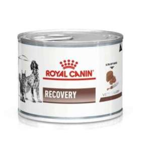 ROYAL CANIN Recovery - Wet dog and cat food - 195g
