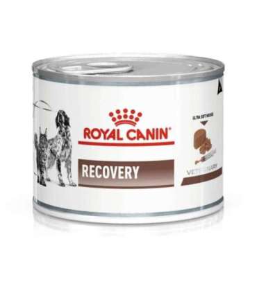 ROYAL CANIN Recovery - Wet dog and cat food - 195g
