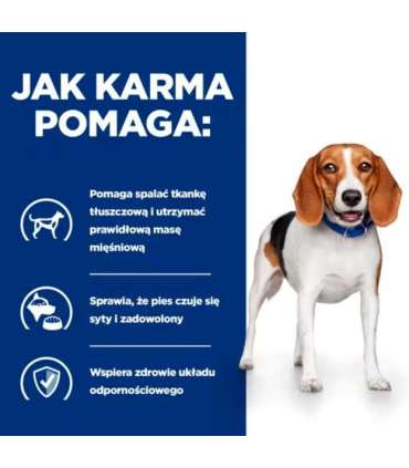 HILL'S Prescription Diet Weight loss r/d - wet dog food - 350g