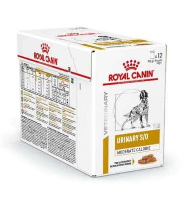 ROYAL CANIN Dog Urinary S/O Moderate Calorie - wet dog food - 12 x 100g
