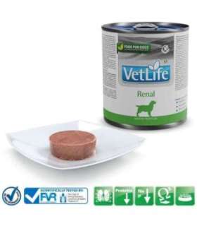 FARMINA Vet Life Canine Renal - wet dog food - 300 g