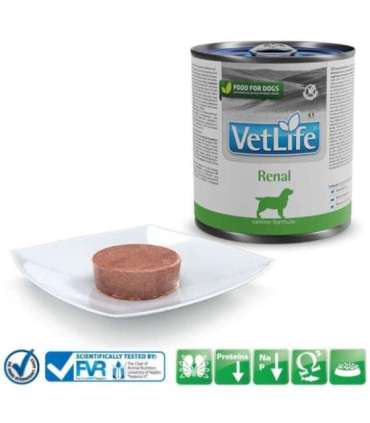 FARMINA Vet Life Canine Renal - wet dog food - 300 g