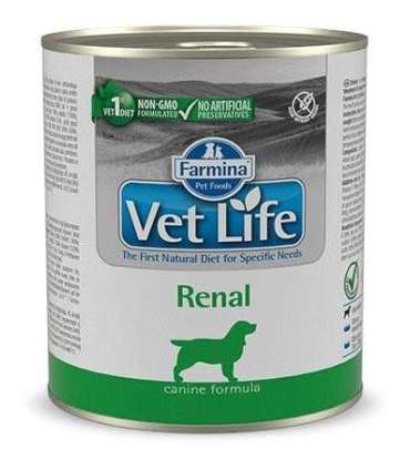 FARMINA Vet Life Canine Renal - wet dog food - 300 g