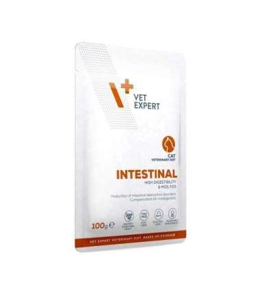 VET EXPERT Veterinary Diet Intestinal Cat - wet food for cats - 100g