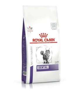 ROYAL CANIN Dental - dry cat food - 1,5kg