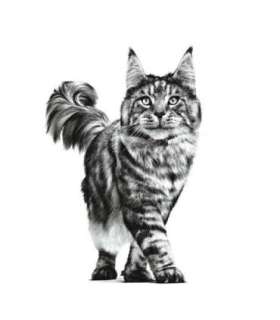 ROYAL CANIN Cat Gastrointestinal VHN - dry cat food - 400g