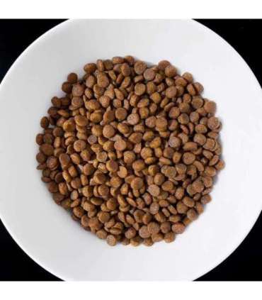 VET RESPONSE Gastrointestinal - dry cat food - 400g